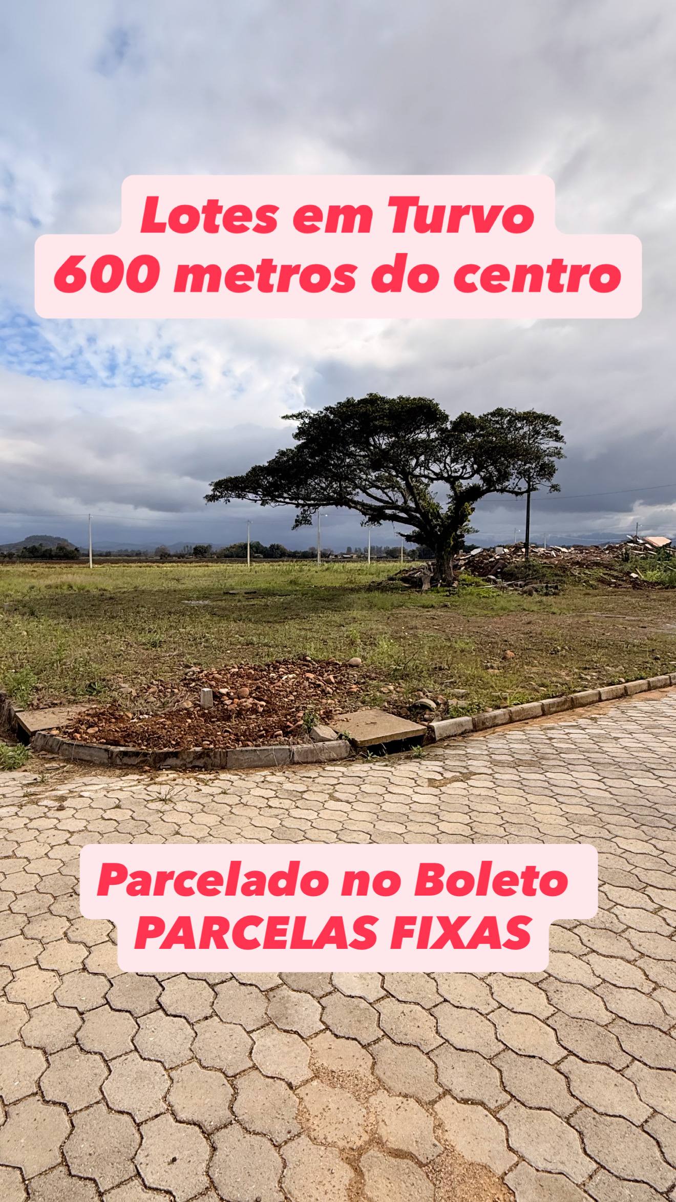 Lotes em Turvo na Cidade Alta em Cidade Alta,Turvo